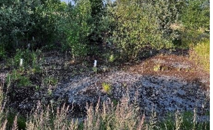 działka na sprzedaż - Dobczyce (gw), Stojowice